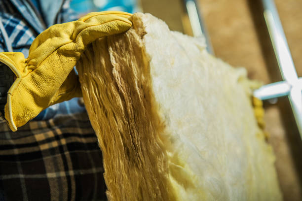 Best Cellulose Insulation  in Gladeview, FL